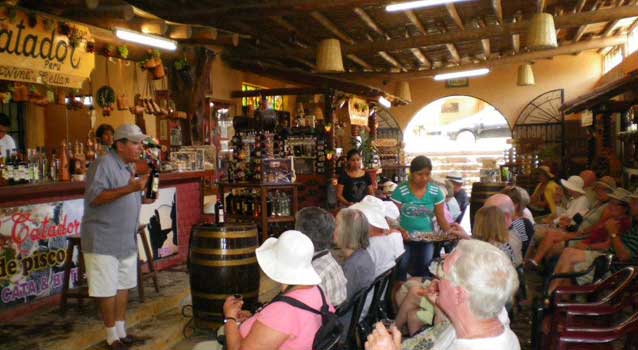 bodegas-piscos-y-vinos