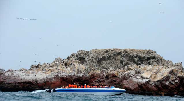 islas-ballestas-buggie-2