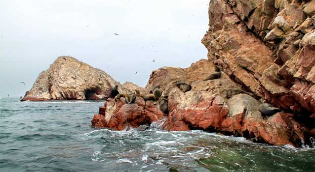 islas-ballestas-city